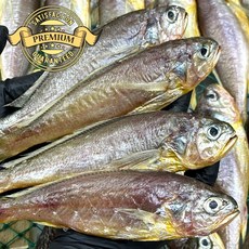 [재구매율이 높은] 여수 황금 참조기 해풍으로 건조 하여 손질 간이 되어 있는 급냉 참조기, 1개, 여수 황금 참조기3팩(24-30미)