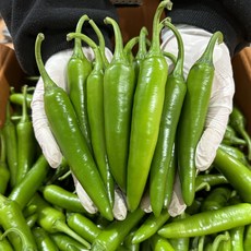 안 맵고 아삭한 모닝고추 특A급, 1개, 1kg