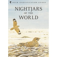 (영문도서)Nightjars of the World Hardcover, Helm, English, 9781472913487