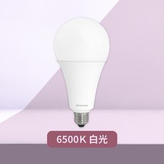 TATUNG LED燈泡 30W 6500K 白光 E27 100-240V, 1個