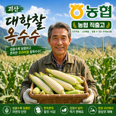 [예약판매초특가] 농협 산지직송 괴산대학찰옥수수 엄격선별, 1박스, 20개