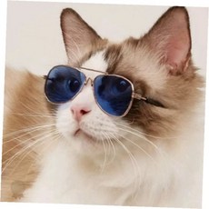 반려동물 선글라스 고양이 강아지 패션 액세서리 촬영 소품 아비에이터 미러 렌즈 펫 안경, 1개, 1-애완선글라스-투명