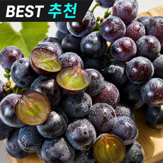 [요슐라] 국내산 거봉포도 고당도 프리미엄 제철 거봉 산지직송, 1세트, 거봉 1kg
