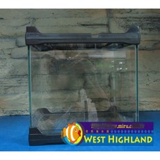 【西高地水族坊】台灣製堆疊式寵物箱 爬蟲箱 爬蟲缸 17.5cm*17.5cm, 1個