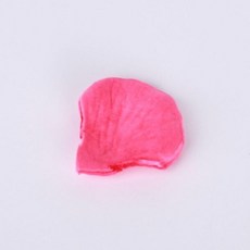 YMst 플라워샤워 꽃잎 컨페티 마젠타 100장, 1개, 상세페이지 참조