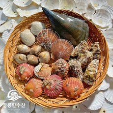 영롱한수산 제철 모듬 조개 커플세트 (6가지 종류) 3kg, 1개