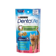 퓨리나 덴탈라이프 캣 연어 트릿 51g, 1개