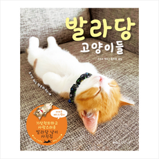 발라당 고양이들 + 미니수첩 증정, 윌스타일(WILLSTYLE), 스무조