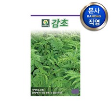 감초 씨앗 5g . 야채 채소 텃밭 파종 재배 주말 농장 씨 종자, 1개, 1개