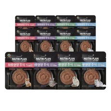 동원 뉴트리플랜 하루영양 주식 파우치 4종 혼합