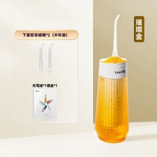 雅澳A8電動沖牙器便攜家用洗牙器牙齒水牙線清潔禮物, 璀璨金【內含2支噴嘴】