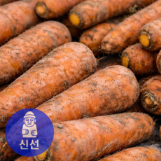 [신선상회] 26년 햇당근 산지직송 특품, 1개, 신선 10kg (왕)