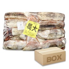 선동오징어 특대 10kg 원양산 포클랜드 냉동오징어, 1박스