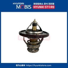 서모스타트 (2550035540)