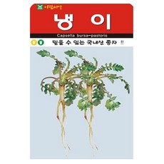 냉이 씨앗 종자 씨, 5개