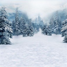 스튜디오배경지 유튜브 설산 링조명 배경 배경지 배경천, 1.5x2m, 1개, 로즈레드