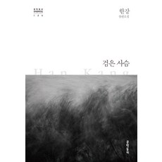 검은 사슴, 한강, 문학동네