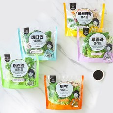 국내산 샐러드 채소 포케 야채믹스 간편 파우치 100g, 10개, 국내산 혼합 샐러드(5종 각2팩씩)