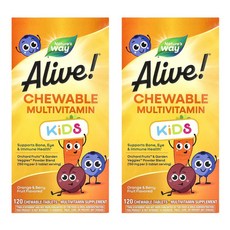 네이쳐스웨이 얼라이브 키즈 츄어블 멀티비타민 오렌지 베리 후르츠 맛 120타블렛 2개, 120정