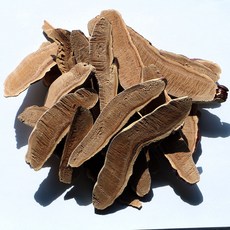 다온약초 국산 절편 영지버섯, 1개, 1kg