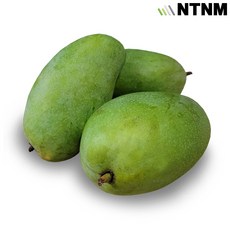 엔티몰 베트남 그린망고(Vietnam Green Mango), 1개, 1.0kg