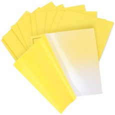 (5 세트) 튜브 수리패치 10P 물놀이용품 펑크패치 튜브 수영장