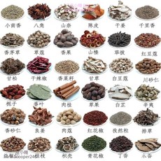 優選 香料香辛料組合：八角、桂皮、香葉等滷水大料，小包裝家用燉肉香料, 1個, 千里香,100g