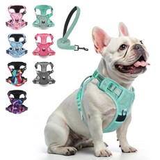 BEAUTYZOO 소형견을 위한 당김 없는 강아지 하네스 및 목줄 세트 조절 가능한 강아지 조끼 하네스 금속 목줄 클립 2개 반사 옥스포드 질식 방지 탈출 방지 손잡이, 솔리드 아쿠아 블루