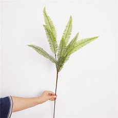 【仿真花 高品質】仿真植物綠植盆栽裝飾品腎蕨葉枝頭蕨類波斯蕨草鐵綫蕨魚尾草道具, 1個, 9頭腎蕨葉枝頭-綠色