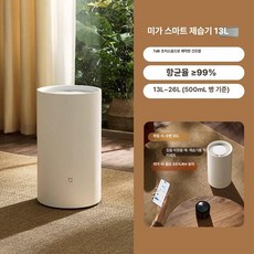 제습기 원룸제습기 저소음 화장실 제습 욕실 장마철 강력제습 가정용, 13L