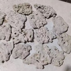 水語森 天然珊瑚死石造景 海水魚缸專用裝飾, 1個, 片狀5一12cm一斤
