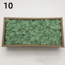 DIY 인공 녹색 식물 영원한 집 거실 정원 미니어처 가짜 잔디 200g, 10)10g, 10