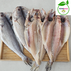 국내산 여수 반건조 민어, 1개, 국내산 반건조민어 4미 900g내외/30cm내외(M)