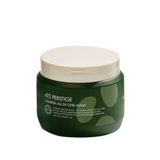 ATS 퍼스티지 카미시 올인원 마스크 500ml, 1개