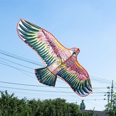 대형독수리연 연날리기 독수리모양 스포츠용품 독수리모양날리기 986000ea (개), 본상품