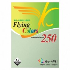 플라잉칼라 A4 250매 10번, 연못색