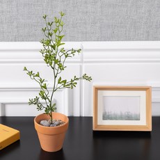 세네시오대형화분set 50cm (DIY) 조화 인테리어, 1개