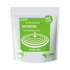 워터 메이트 몸에 좋은 전해질 수분 보충 음료 사과 맛 600g, 1