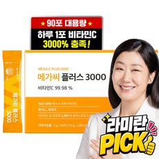 비타민마을 메가씨 플러스 3000 비타민C 분말 스틱, 270g, 1개 270g, 1개