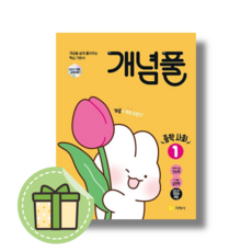 개념풀 중학 사회1 #2025#최신간, 사회1 (2025), 고등학생