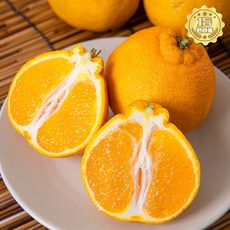 [당일50박스]꿀brix 고당도 제주 당도선별 한라봉, 1박스, 5kg