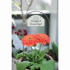 가든인 미니 식물 지지대 트렐리스 인테리어소품 빈티지 베란다정원 오브제, 빈티지 화이트