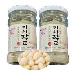 회 친구!! 가정용 정성을 듬뿍 담아 만든 가정용 미니락교, 400g, 1개