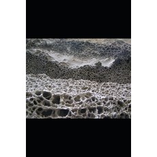 (영문도서) Microorganisms and Bioremediation Paperback, Independently Published, English, 9781652080213