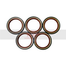 226430 7703087217 8200834449 226424 226426 자동 변속기 오일 펌프 오일 시일 226430 푸조 A4L 크기 545X72X65, 3) 226430 5PC, 5개