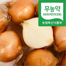 [프리미엄] 친환경 무농약 유기농 양파, 1박스, 1kg