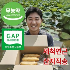 더맛곳간 무농약 국산 햇 생 손질 통 세척 연근 GAP인증 국내산 진공포장, 1개, 1kg