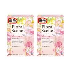 아스 온포 보태니컬 플로럴씬 어소트 입욕제 12정입 2박스 일본 탄산입욕제