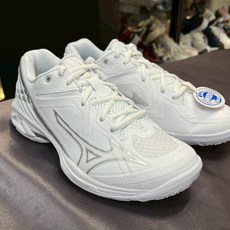 MIZUNO 美津濃 WAVE CLAW 3 羽球鞋 71GA244330