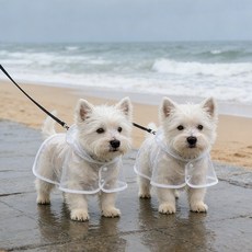 클로케 강아지 투명 후드 레인코트 방수옷 우의, 2개, 흰색